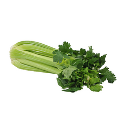 Celery Whole