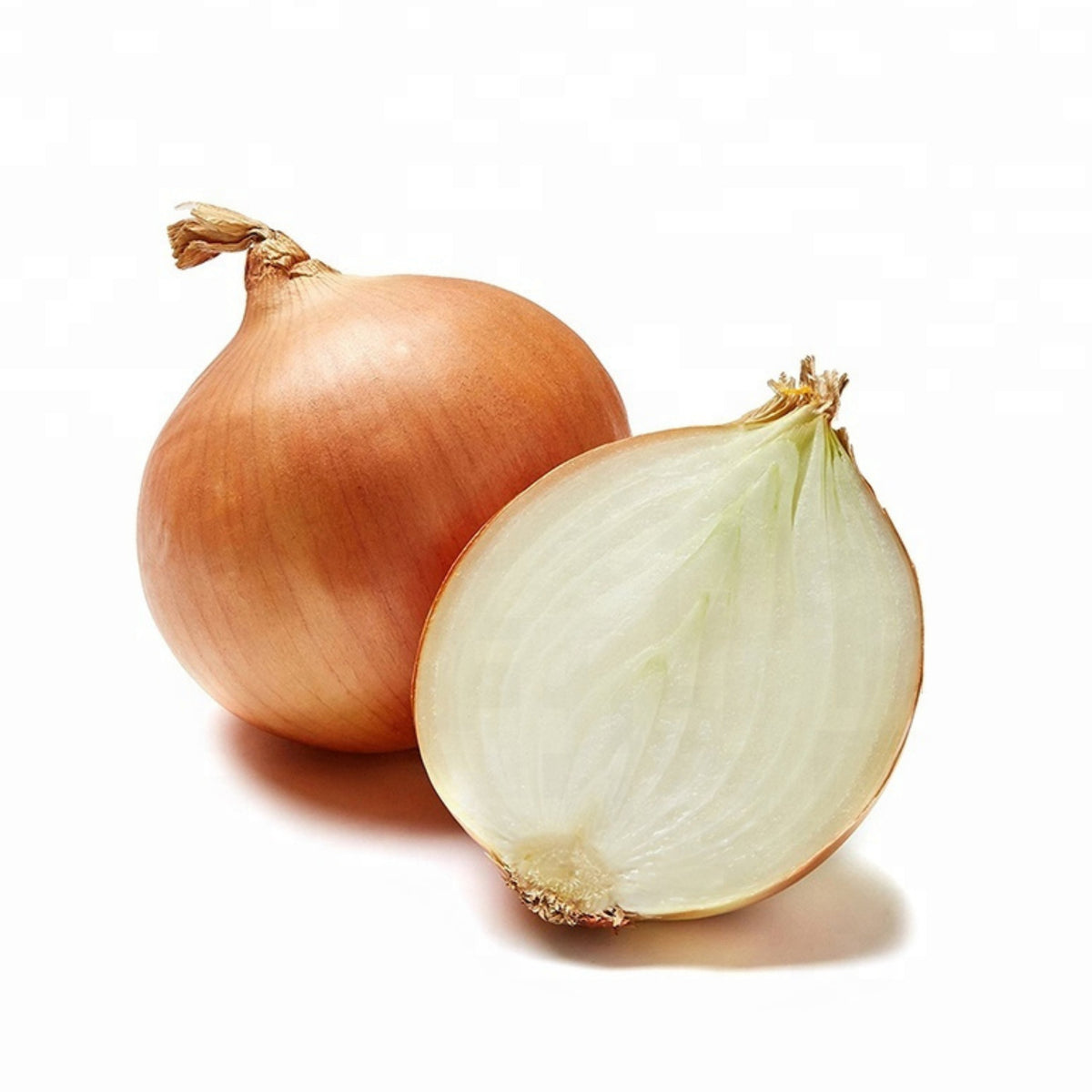 Brown Onion